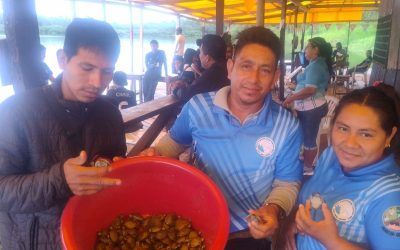 Participación del tecnológico en la «Liberación de crías de Taricayas»